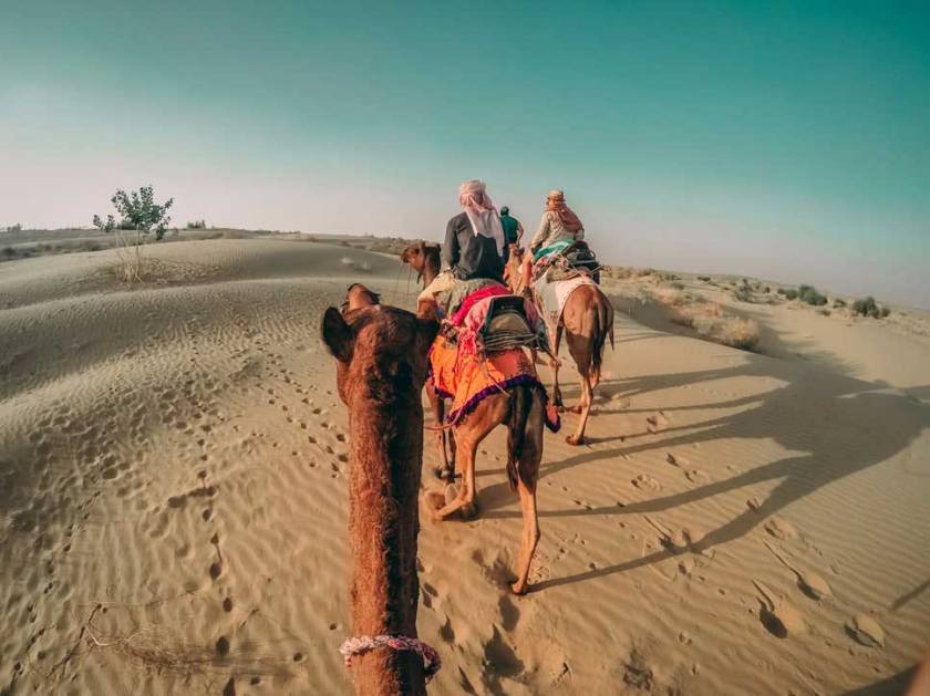 Camel-ride-in-Pushkar-rajasthan